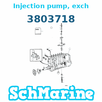 Buy 3803718 Injection pump, exch Volvo Penta parts 3803718 Injection pump, exch Volvo Penta