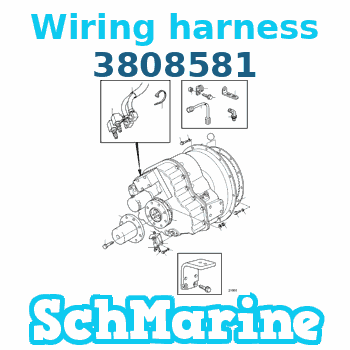 Buy 3808581 Wiring harness Volvo Penta parts 3808581 Wiring harness Volvo Penta