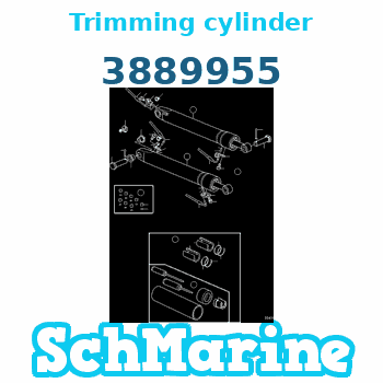 Buy 3889955 Trimming cylinder Volvo Penta parts 3889955 Trimming cylinder Volvo Penta