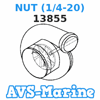 13855 NUT (1/4-20) Force