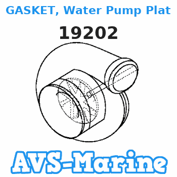 19202 GASKET, Water Pump Plate Force