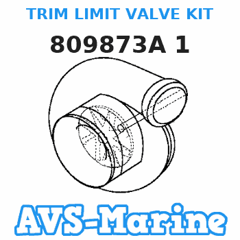 809873A 1 TRIM LIMIT VALVE KIT Force