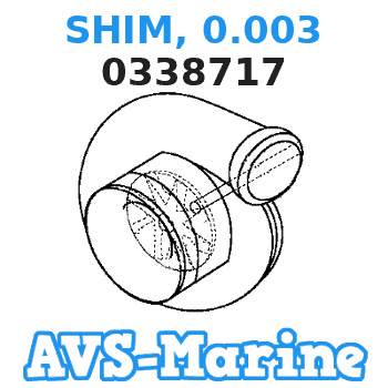 0338717 SHIM, 0.003 JOHNSON