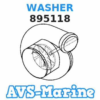 895118 WASHER Mercury
