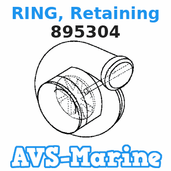 895304 RING, Retaining Mercury