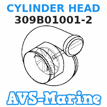 309B01001-2 CYLINDER HEAD Tohatsu