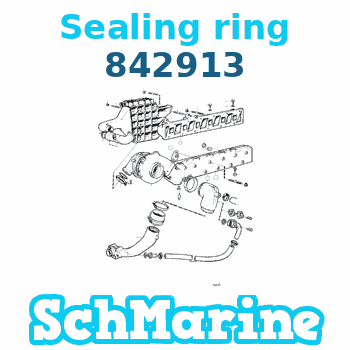 842913 Sealing ring Volvo Penta 