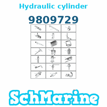 9809729 Hydraulic cylinder Volvo Penta 