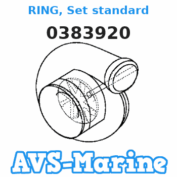 0383920 RING, Set standard EVINRUDE 