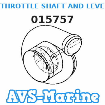 015757 THROTTLE SHAFT AND LEVER Force 