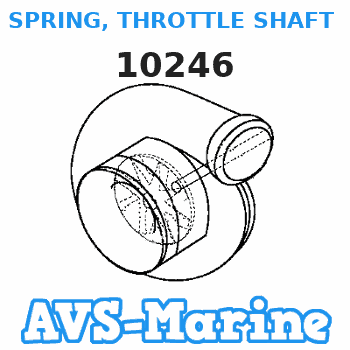 10246 SPRING, THROTTLE SHAFT RETURN Force 