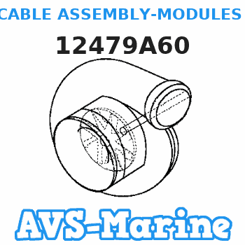 12479A60 CABLE ASSEMBLY-MODULES TO HARNESS Force 