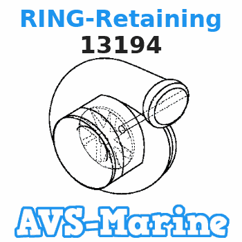 13194 RING-Retaining Force 