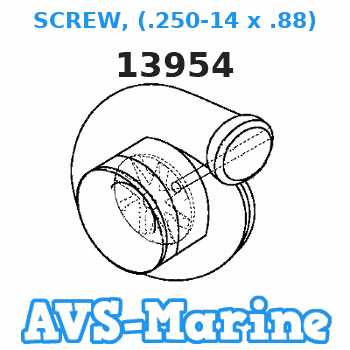13954 SCREW, (.250-14 x .88) Force 