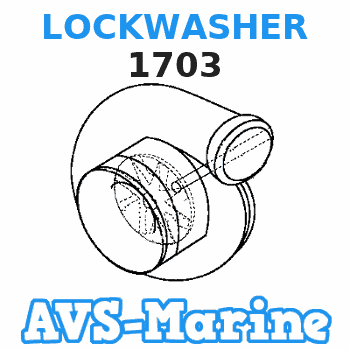 1703 LOCKWASHER Force 