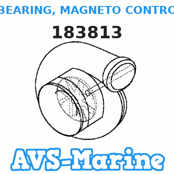 183813 BEARING, MAGNETO CONTROL LEVER Force 