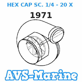 1971 HEX CAP SC. 1/4 - 20 X 2-1/8 Force 