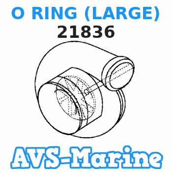 21836 O RING (LARGE) Force 