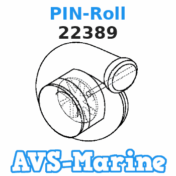 22389 PIN-Roll Force 