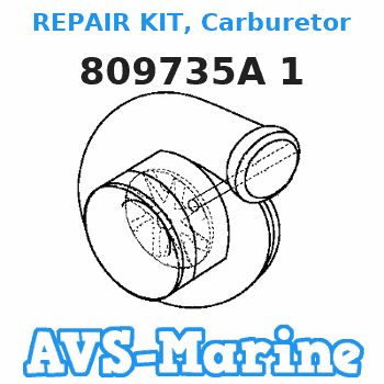 809735A 1 REPAIR KIT, Carburetor Force 