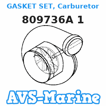 809736A 1 GASKET SET, Carburetor Force 