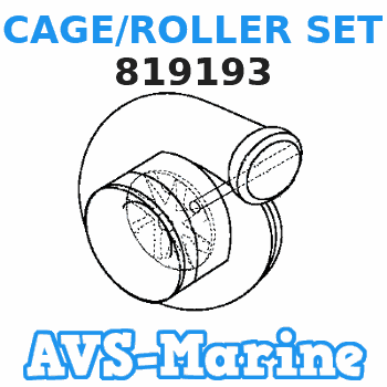 819193 CAGE/ROLLER SET Force 