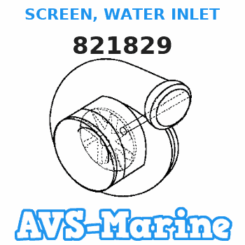 821829 SCREEN, WATER INLET Force 