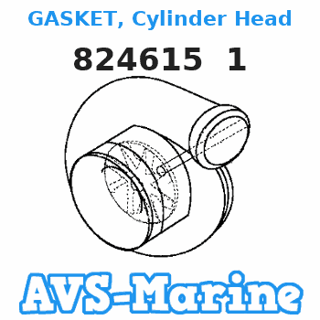 824615 1 GASKET, Cylinder Head Force 