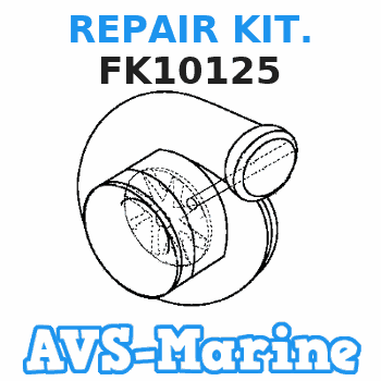 FK10125 REPAIR KIT. Force 