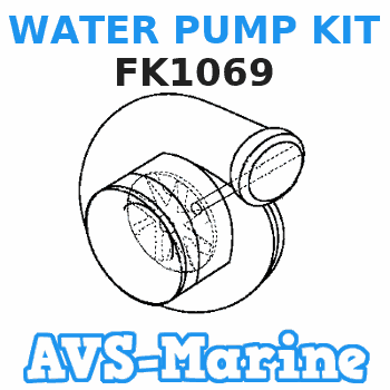 FK1069 WATER PUMP KIT Force 