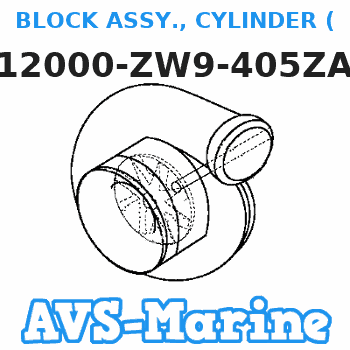 12000-ZW9-405ZA BLOCK ASSY., CYLINDER (000) (Honda Code 6671051). *NH8* (DARK GRAY) Honda 