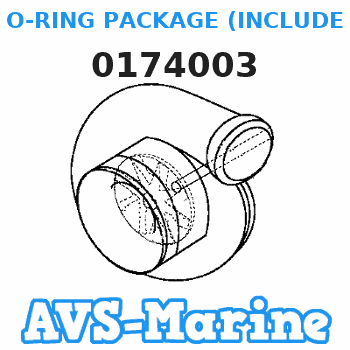 0174003 O-RING PACKAGE (INCLUDES ITEM 45) JOHNSON 
