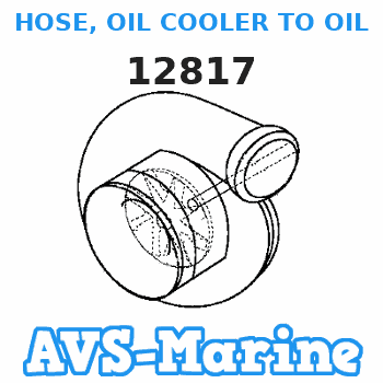 12817 HOSE, OIL COOLER TO OIL COOLER Mercruiser 