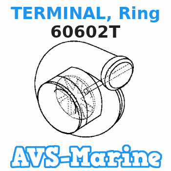 60602T TERMINAL, Ring Mercury 