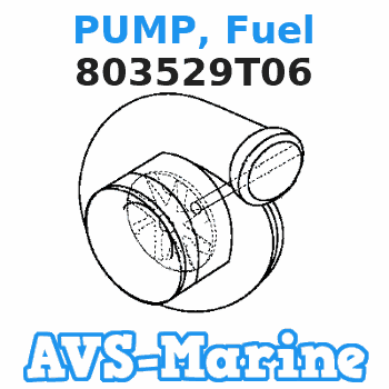 803529T06 PUMP, Fuel Mercury 