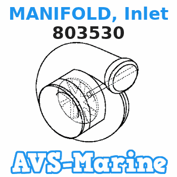 803530 MANIFOLD, Inlet Mercury 