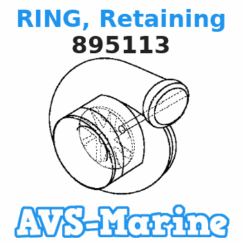 895113 RING, Retaining Mercury 