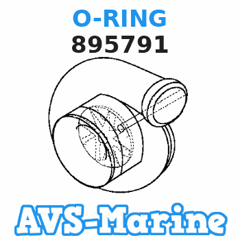 895791 O-RING Mercury 