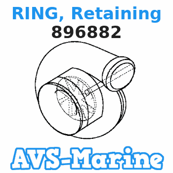 896882 RING, Retaining Mercury 