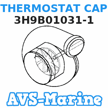 3H9B01031-1 THERMOSTAT CAP Nissan 
