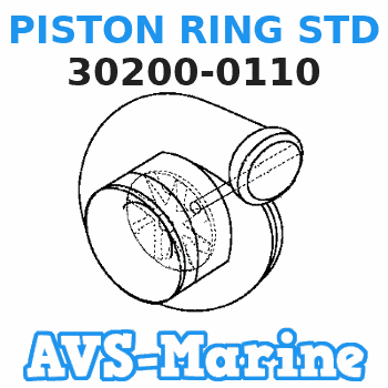 30200-0110 PISTON RING STD Tohatsu 