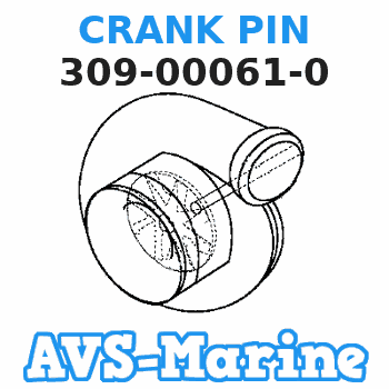 309-00061-0 CRANK PIN Tohatsu 