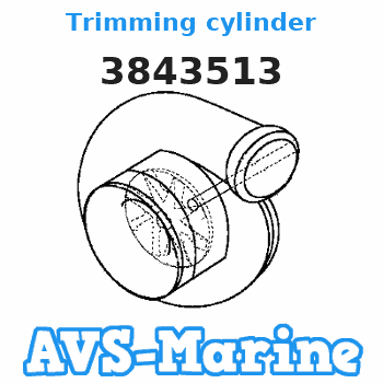 3843513 Trimming cylinder Volvo Penta 