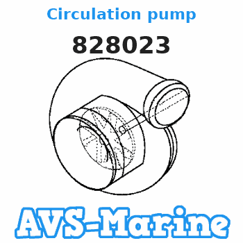828023 Circulation pump Volvo Penta 
