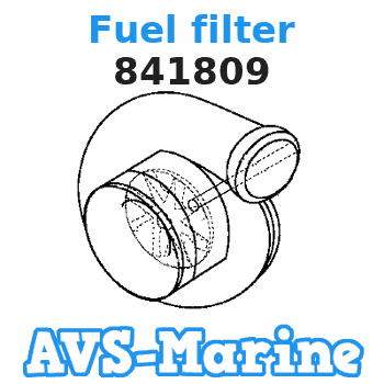 841809 Fuel filter Volvo Penta 